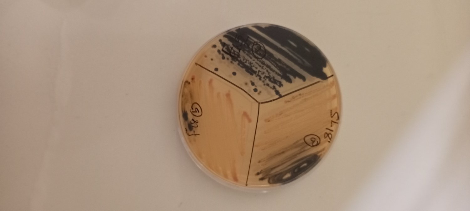 notinterested banner