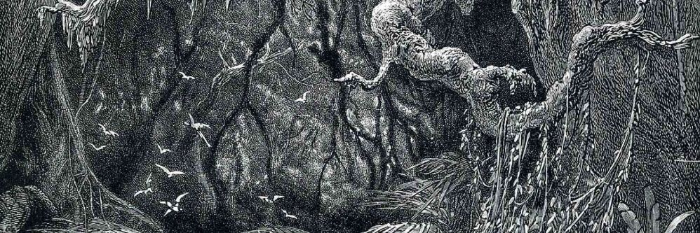 hiddenkingdom_'s profile banner image