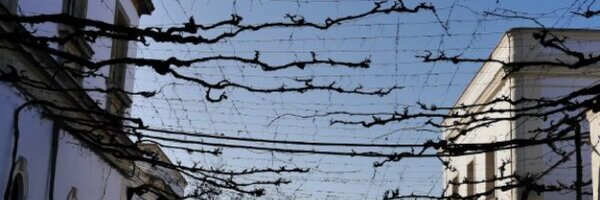 mj_tron Profile Banner