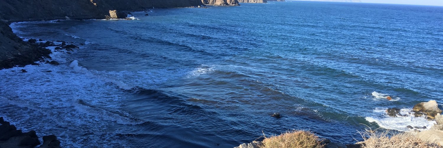 SANDOVAL banner