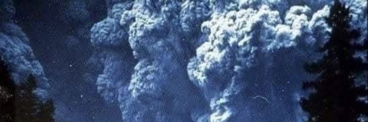 justinthewild's profile banner image