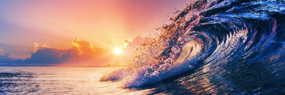 Francesco 🌱 banner