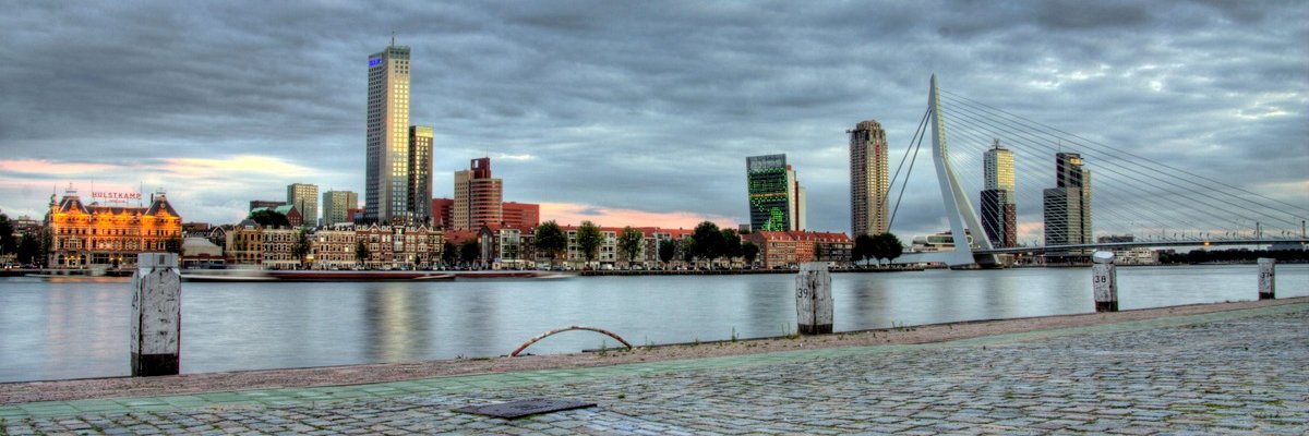 tonentoya's profile banner image