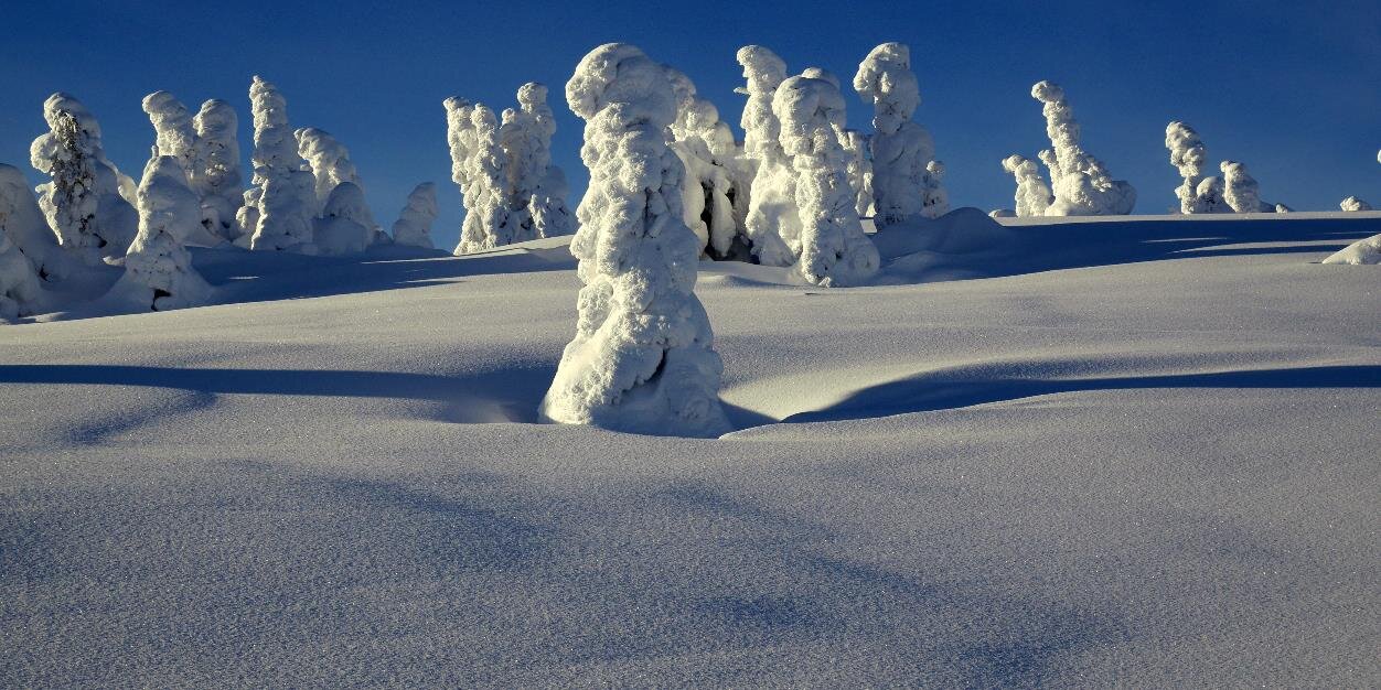 paljensen's profile banner image