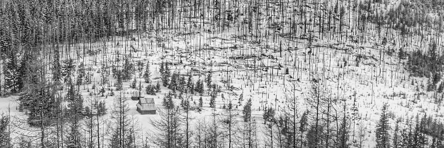 Klaudio_rdm 🇵🇱 🇪🇺🇺🇦✌ banner