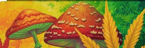 _Nyancle's profile banner image