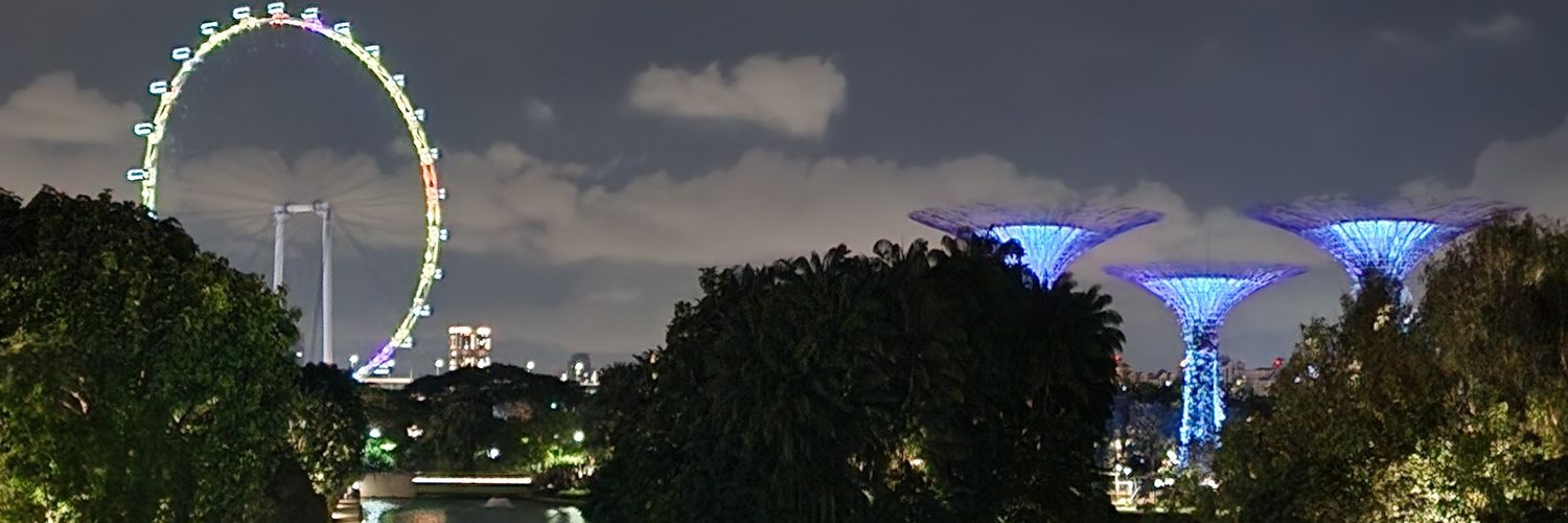 royalgelxx's profile banner image