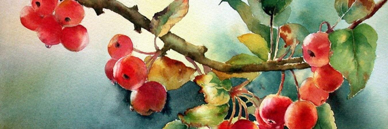 dalia1769's profile banner image