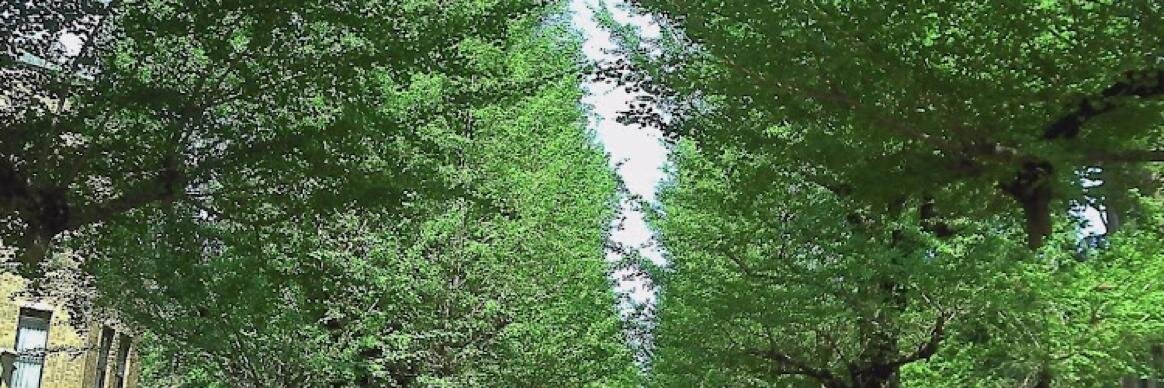 yrkiino's profile banner image