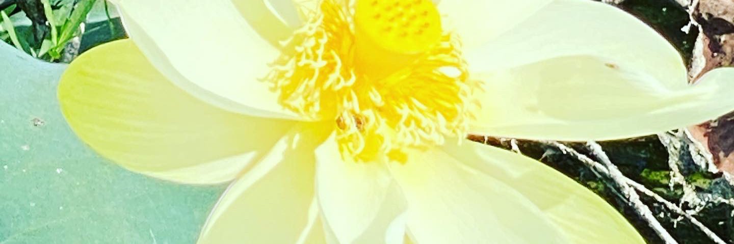 jcmom04's profile banner image