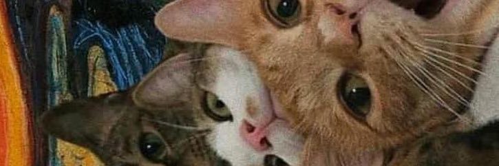 iamejulia's profile banner image