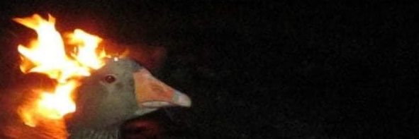 ASHxFireFly's profile banner image
