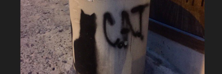 CathyLoxox's profile banner image
