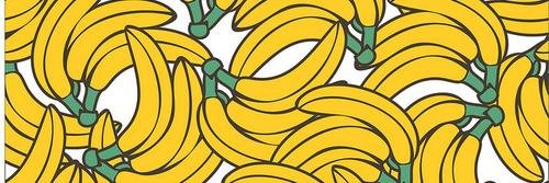 flapdemi's profile banner image