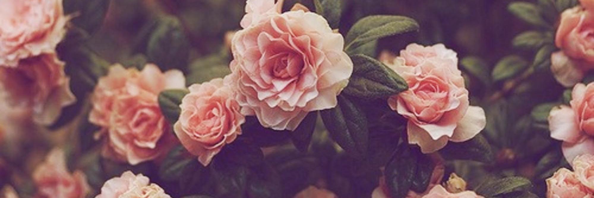 NetiTRW's profile banner image