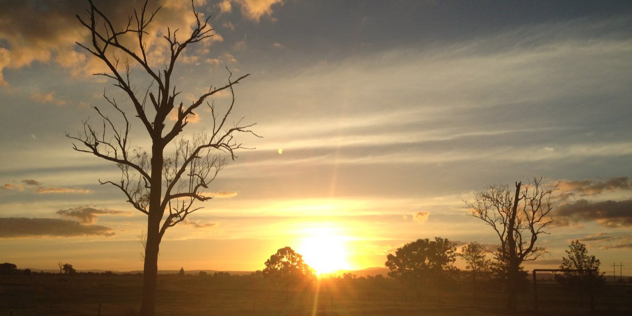 CWilsonQLD's profile banner image