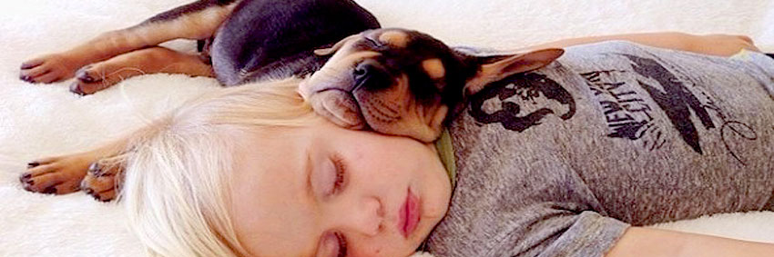 Slummy_Mommy's profile banner image