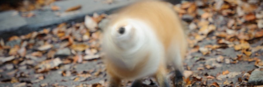 hwkyz's profile banner image