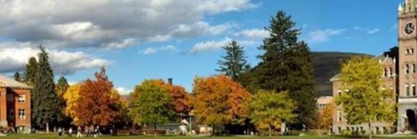 cellacea Profile Banner