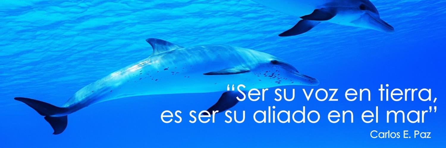 CetaceanMexico's profile banner image