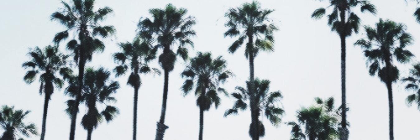 CamiUprising's profile banner image