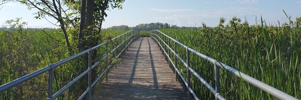 SabrinaBee27 Profile Banner