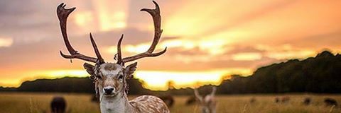 PlayezPlayez's profile banner image