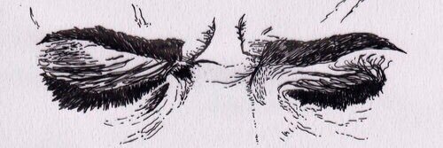 heba0sman's profile banner image