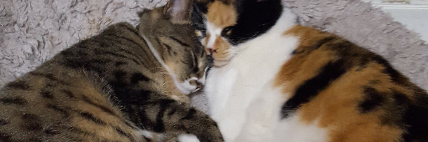 cats_for_dinner's profile banner image