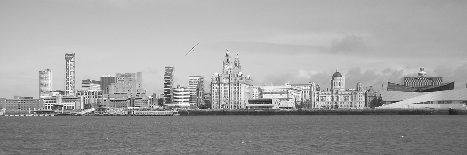 hitchcockwright's profile banner image