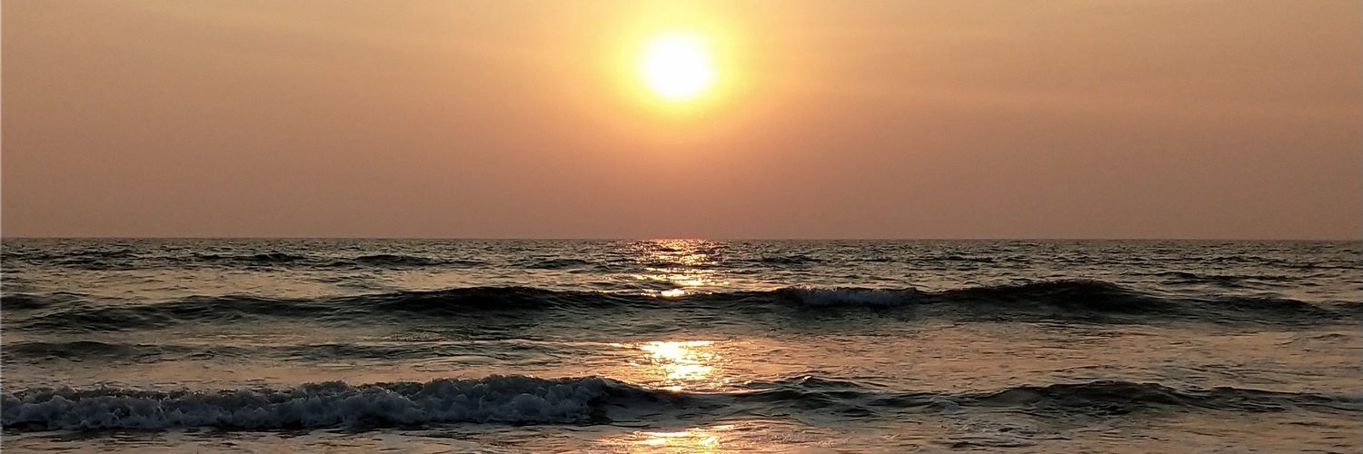 SnehaGoley's profile banner image