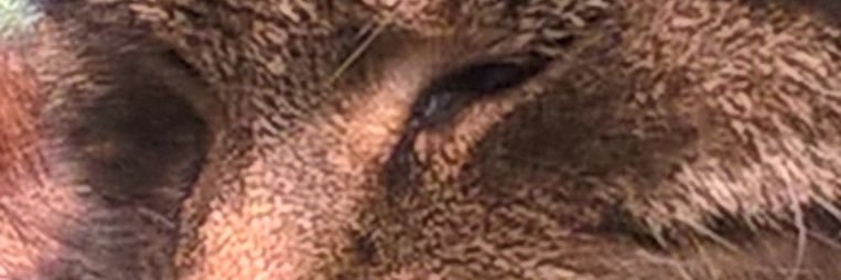 sevemac67's profile banner image