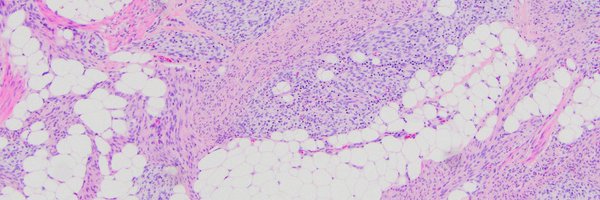 SCKoo80 Profile Banner