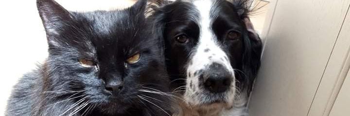 Kit_Inderwick's profile banner image