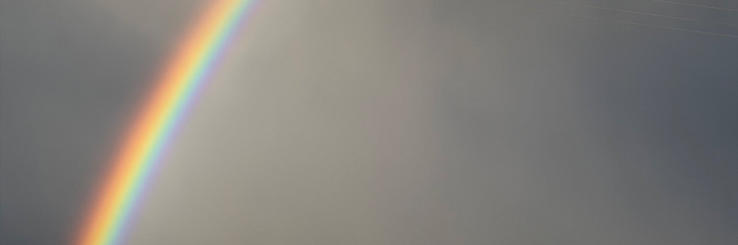 asminsema's profile banner image
