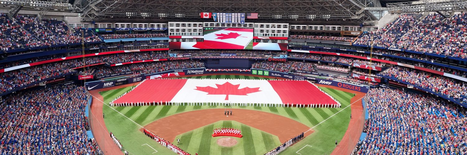 Blue Jays Guy banner