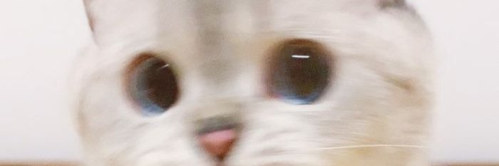 AngelaLy_'s profile banner image