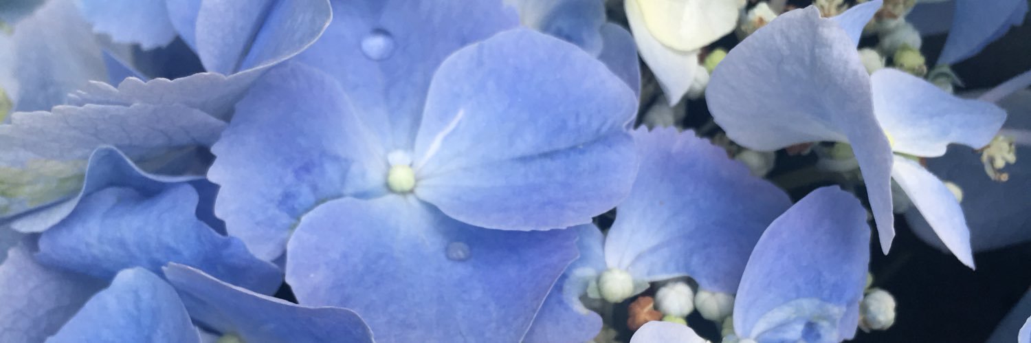 Be_Better2U's profile banner image