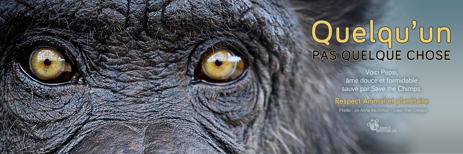 RespectAnimal's profile banner image