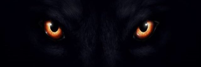 will_wat24's profile banner image