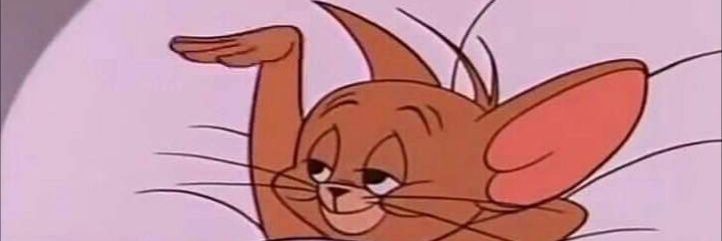 natashaamap's profile banner image