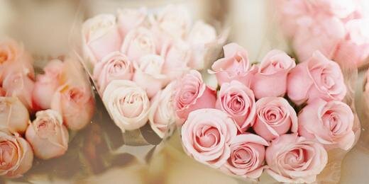 EziFlorist's profile banner image