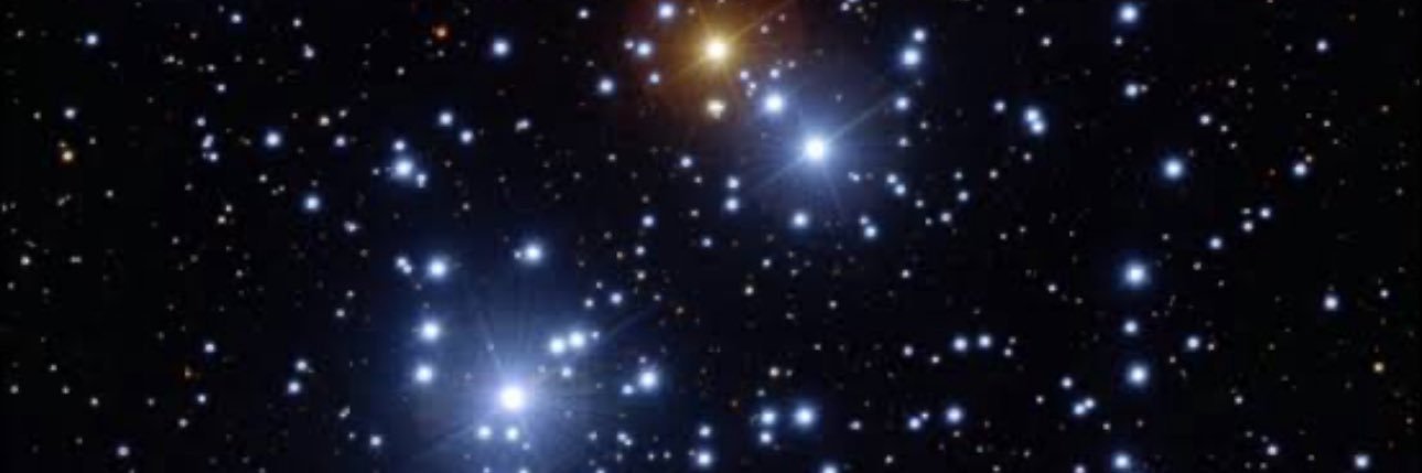 Feride banner