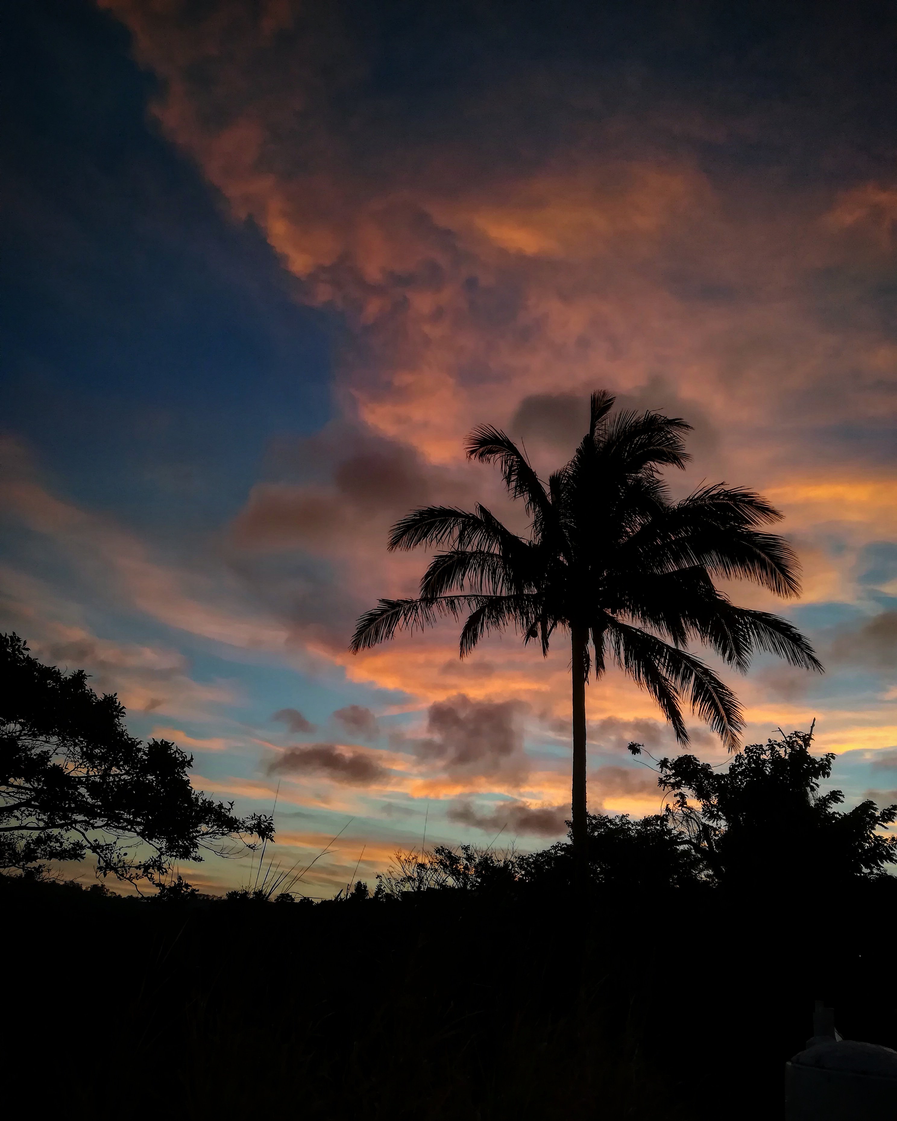 dinzabog's profile banner image