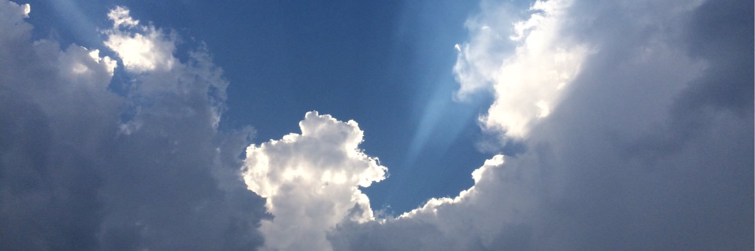 PatriciaInOhio's profile banner image