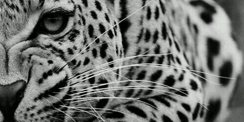 seergiibcn's profile banner image