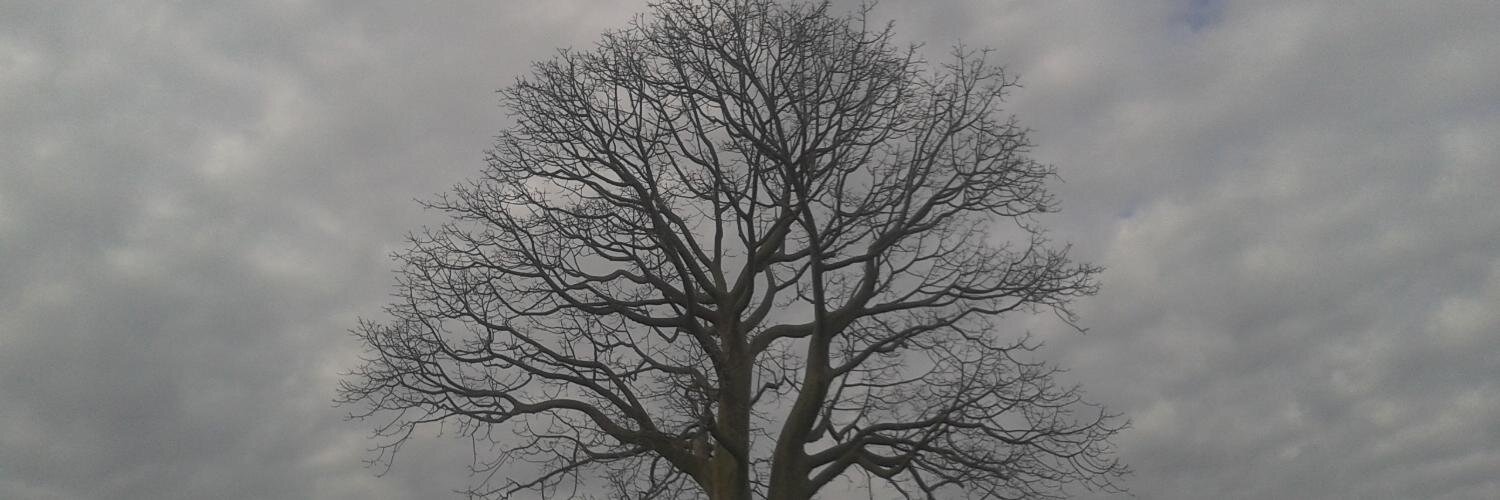natejena's profile banner image