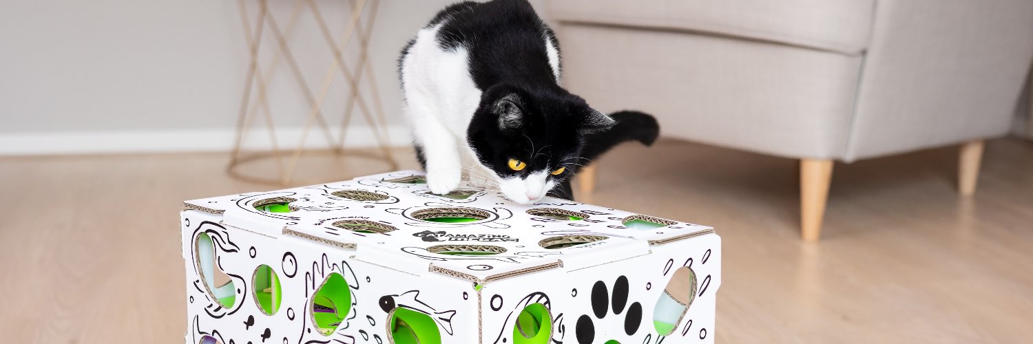 CatAmazingToy's profile banner image