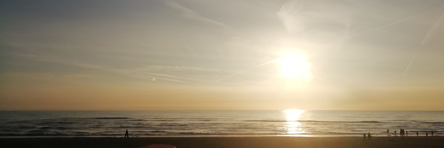 sonja_frl's profile banner image
