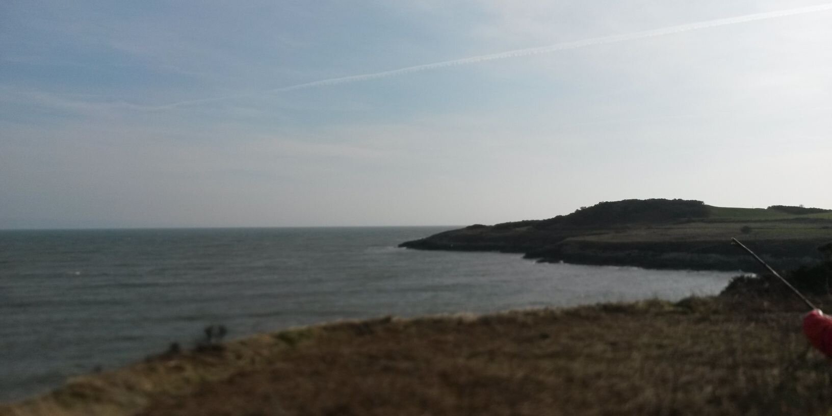 Gillian Clarkson banner